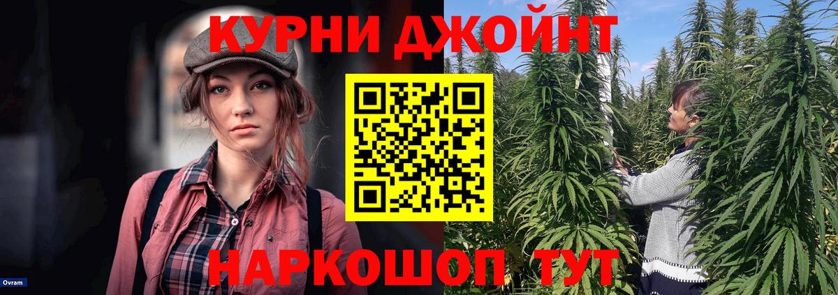 Канабис сатива  Шишки марихуана марихуана  Кумертау  Бошки марихуана AK-47  Бошки марихуана AK-47  Вход с VPN 
